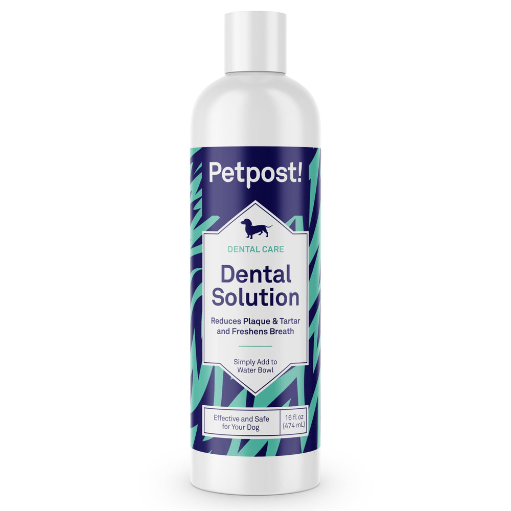 Petpost dental solution water additive bottle demonstrates easy daily dental care for dogs