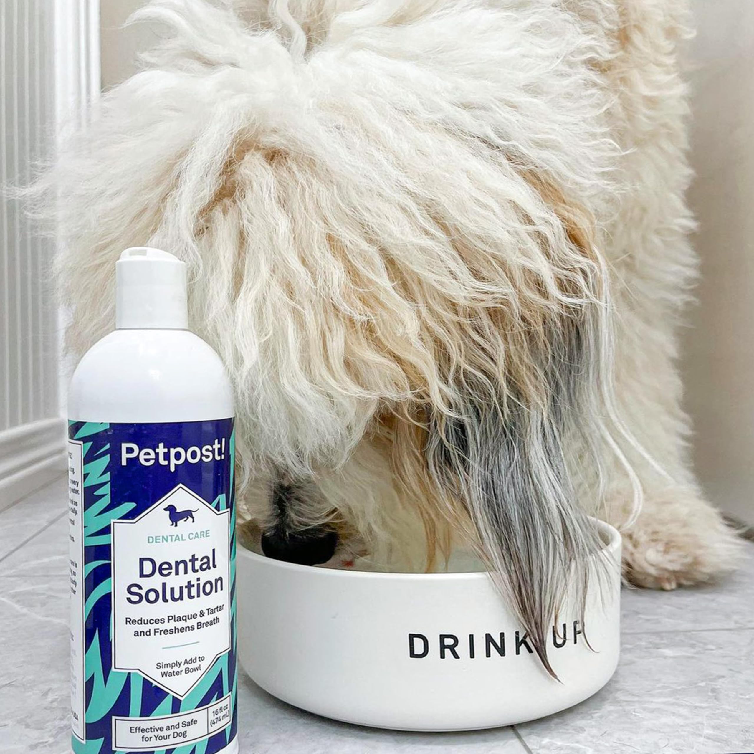 Petpost dental solution water additive happy dog after drinking demonstrates a positive routine