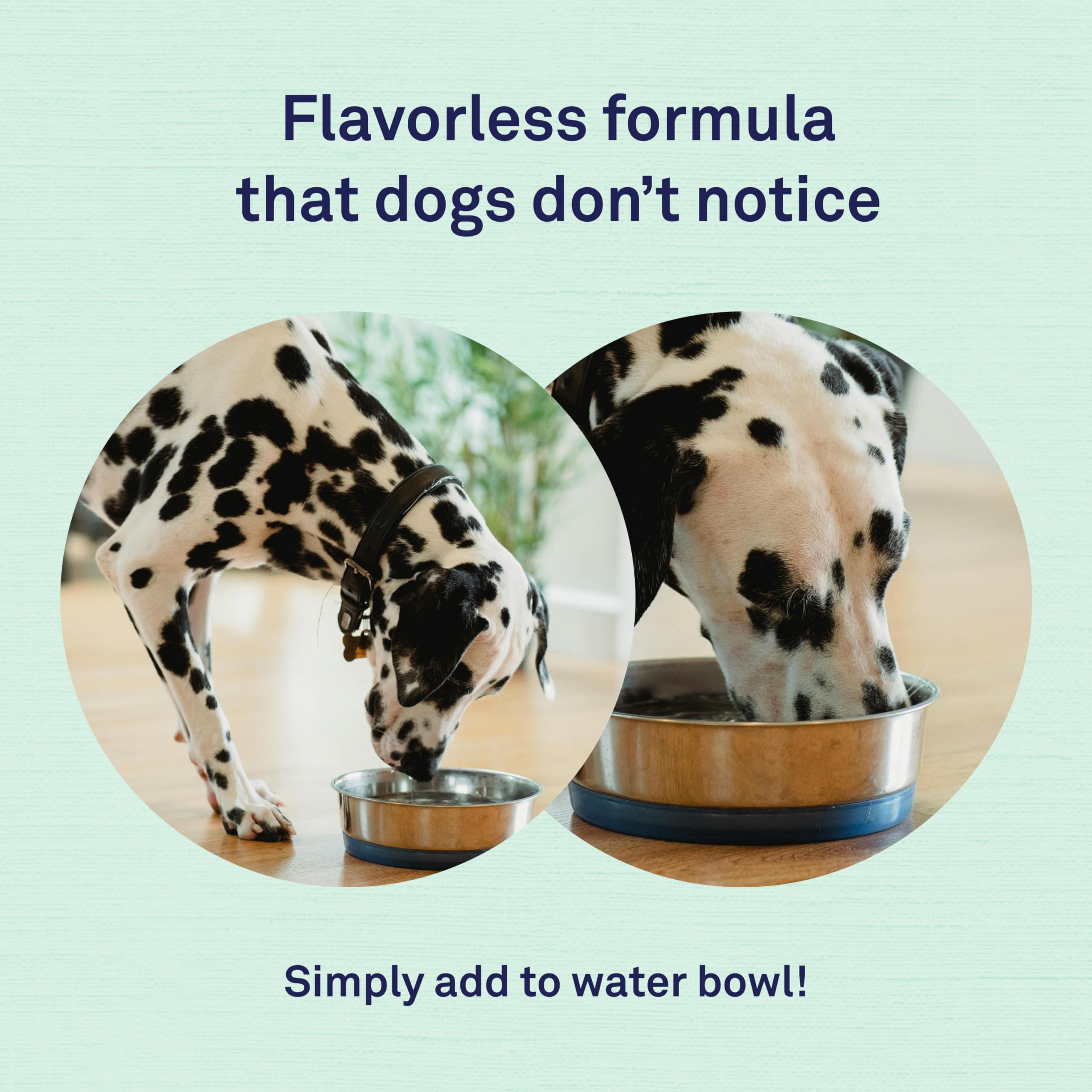 Petpost dental solution water additive ingredients showcase natural chlorophyll and essential oils