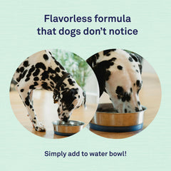 Petpost dental solution water additive ingredients showcase natural chlorophyll and essential oils