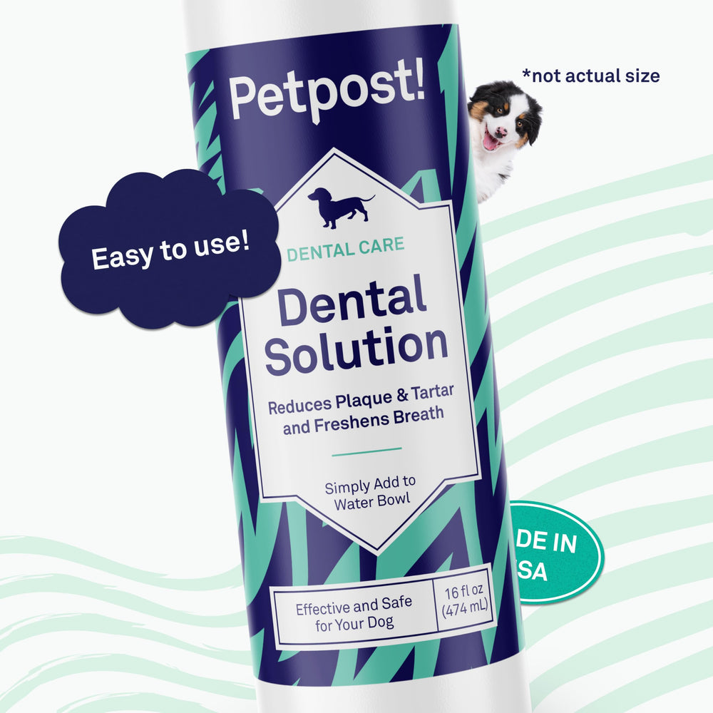 Petpost dental solution water additive measuring spoon demonstrates simple dosing per 8 ounces