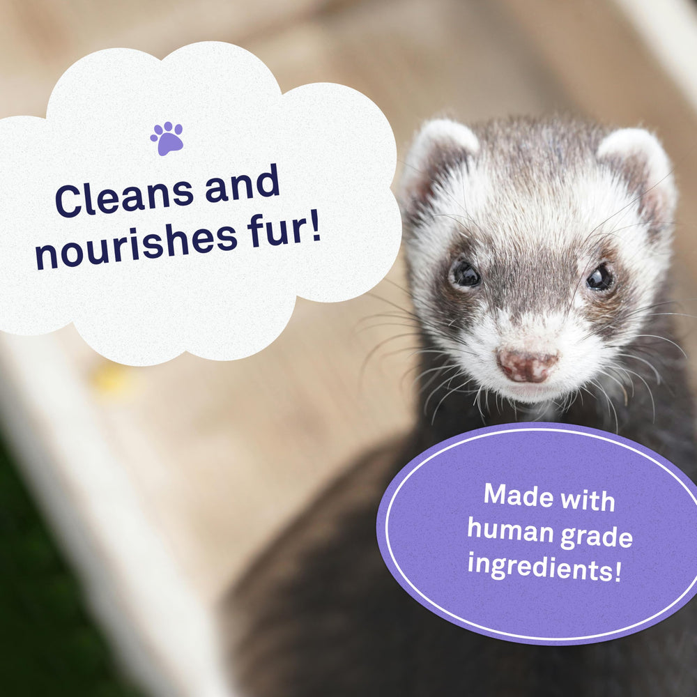 Petpost Ferret Shampoo OdorLock technology image binding odor molecules for freshness