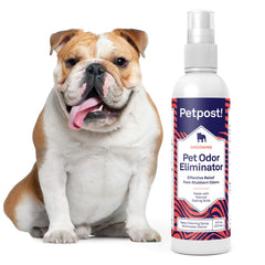 Petpost odor eliminator spray for living room fabrics, reducing lingering odors.