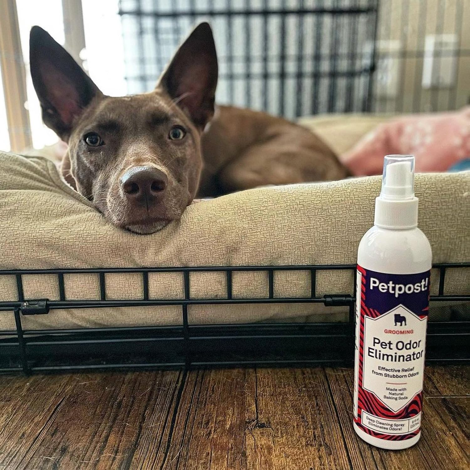 Recyclable packaging for Petpost odor eliminator spray.