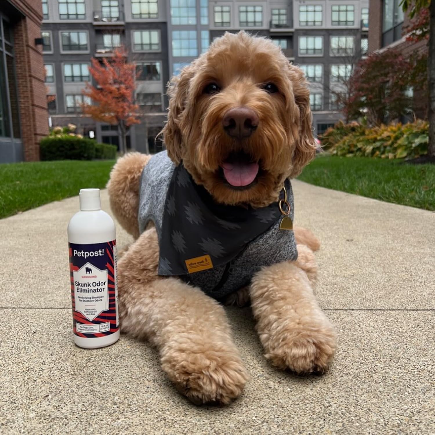 Petpost recyclable packaging highlights eco-friendly choice for pet care.