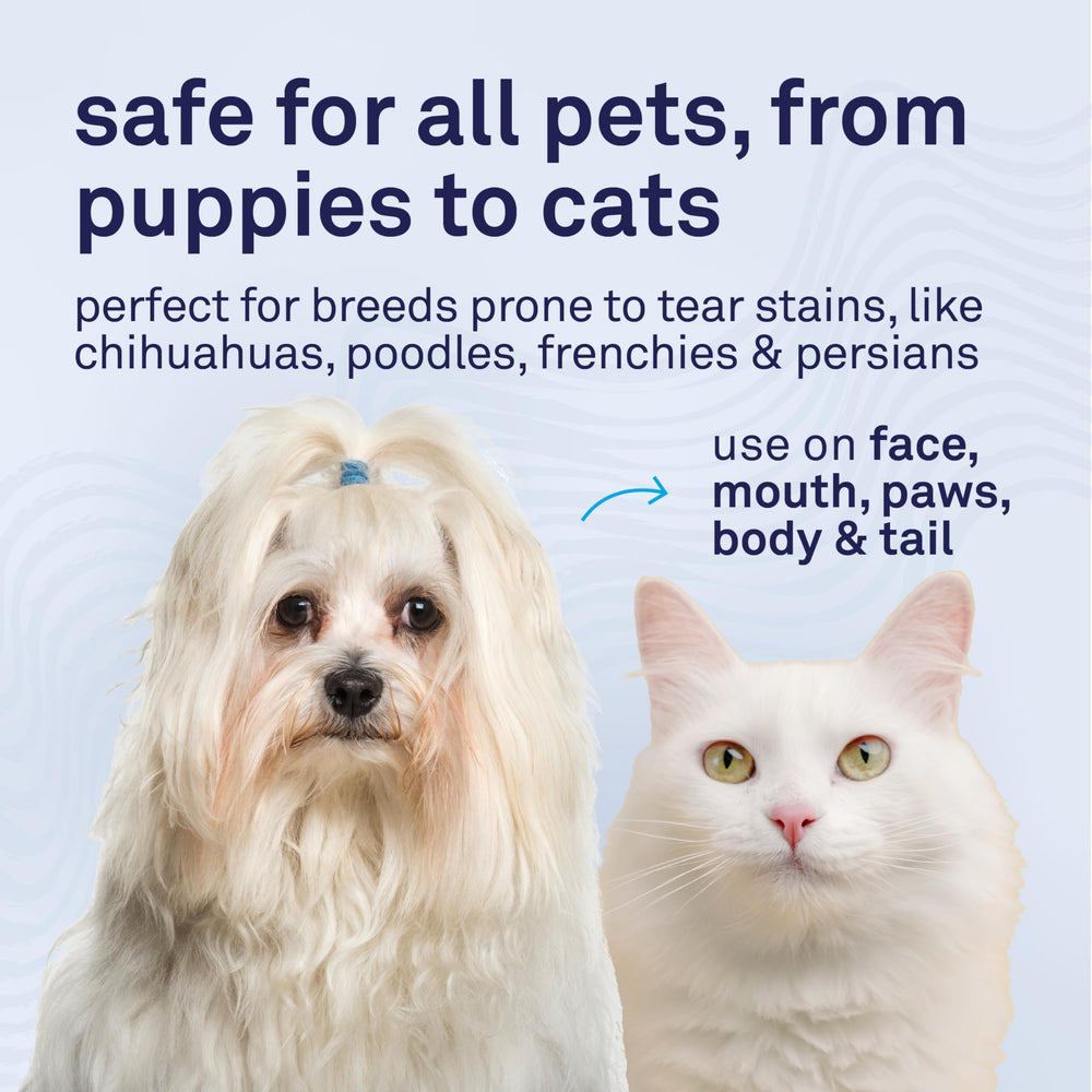 Petpost Tear Stain Wipes USA-made packaging highlights quality
