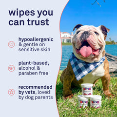 Petpost Wrinkle Wipes size-2-1x2-3-inch demonstrates compact wipe for small folds