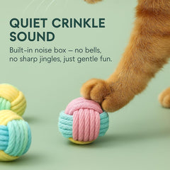 PetPrana Cat Chew Ball demonstrates gentle teeth and gum-friendly design for kittens.