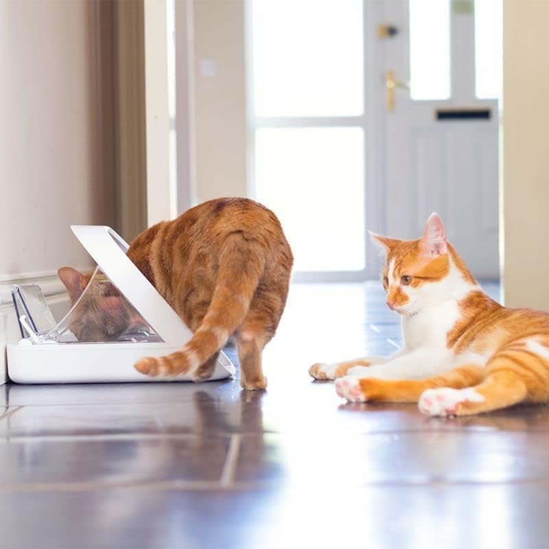 PETQUALITY Show That Love SureFeed compatibility demonstrates seamless integration.