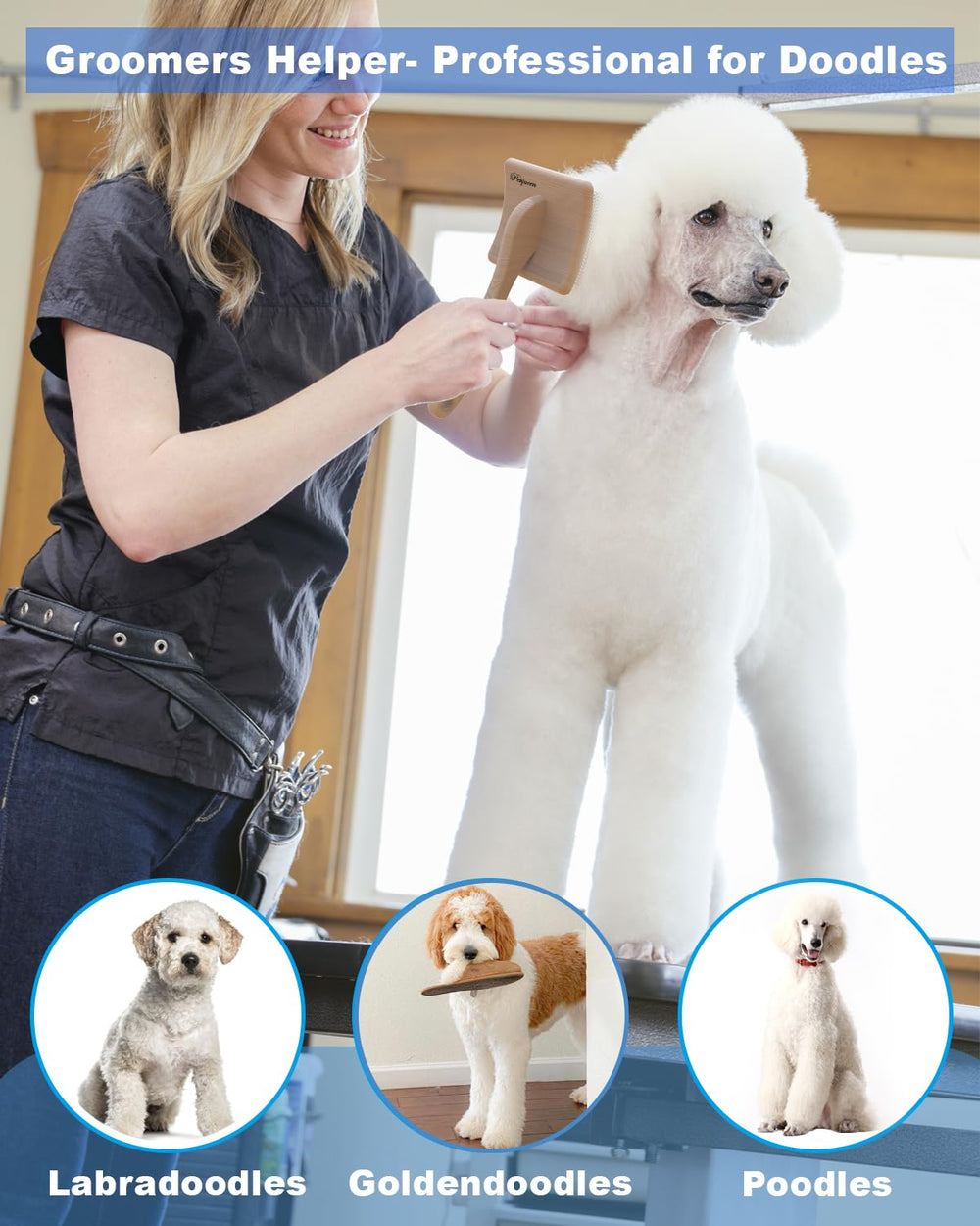Petqueen large-dog grooming brush in action for smooth coats.