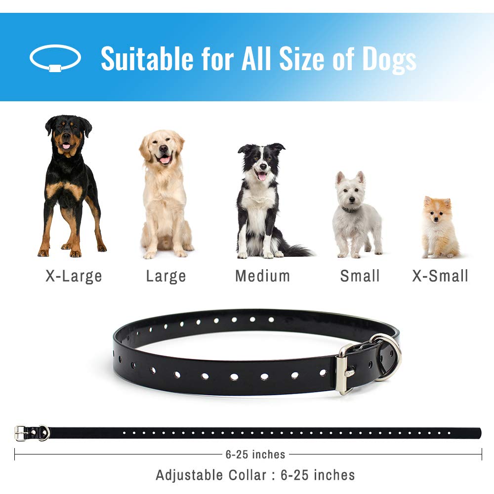 Petrainer Training Collar outdoor training session showing versatile use in park or yard