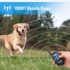 Petrainer Training Collar remote transmitter shown during a training session for precise feedback
