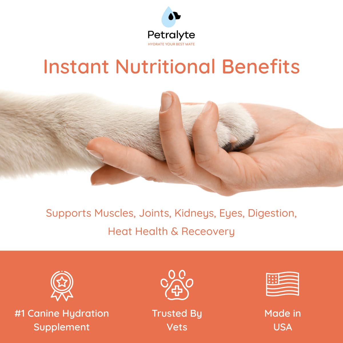 Petralyte dog hydration in bowl illustrating quick water absorption