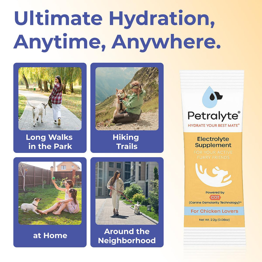 Petralyte dog joint-support with glucosamine and MSM for mobility