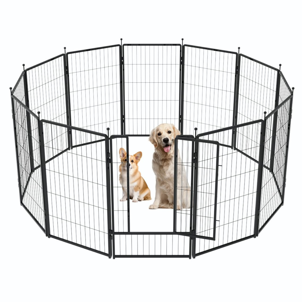 PETREEK dog playpen assembly demonstrates tool-free setup for quick use