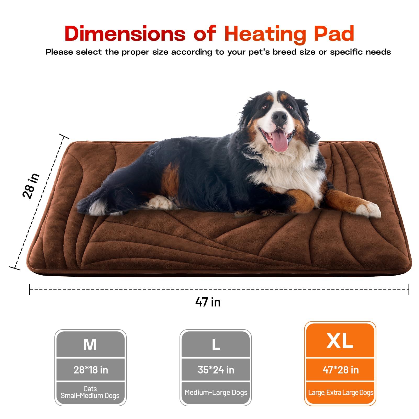 Petrendy multi size layout image suggests suitability for cats and large dogs in multi-pet homes.
