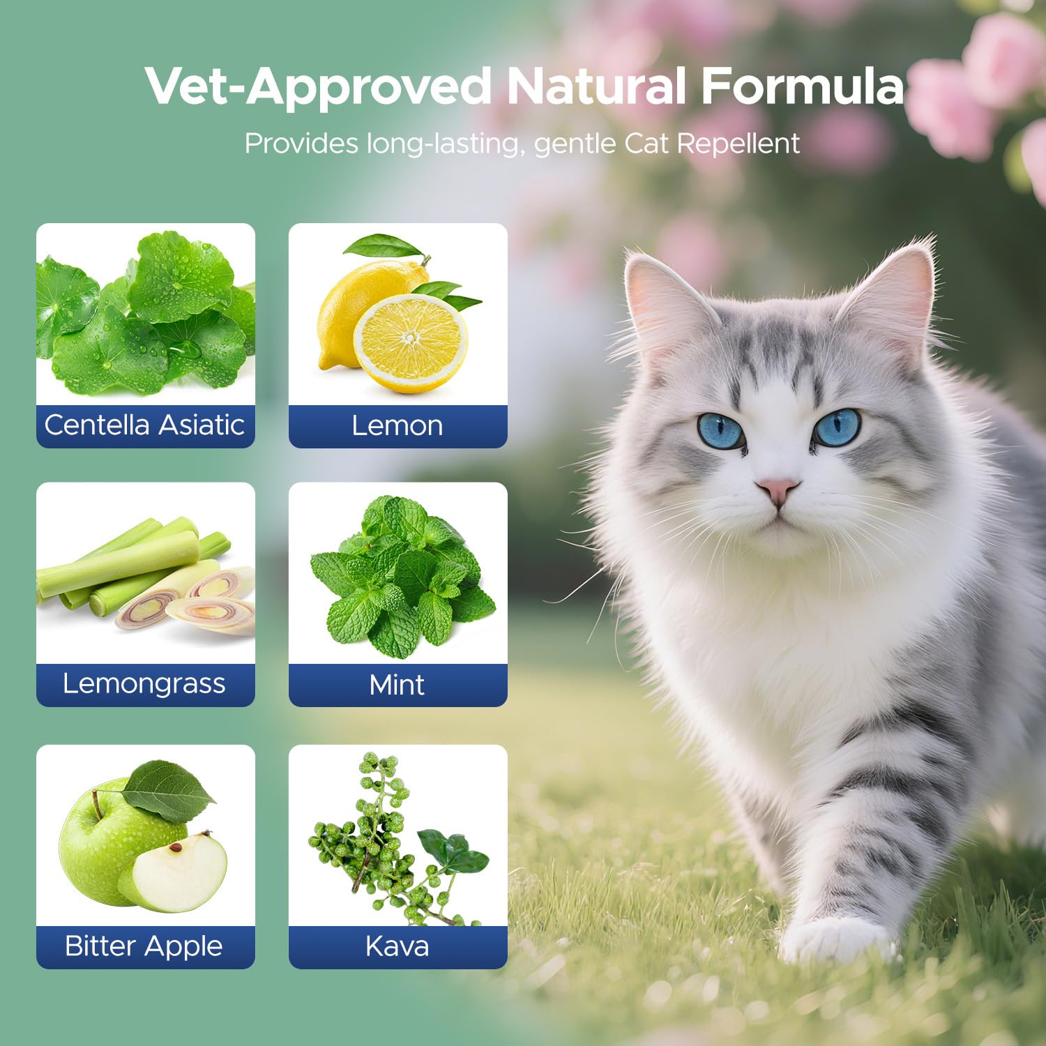 PETRIBE cat-dog-repellent-spray-60ml reliably deters cats and dogs indoors and outdoors