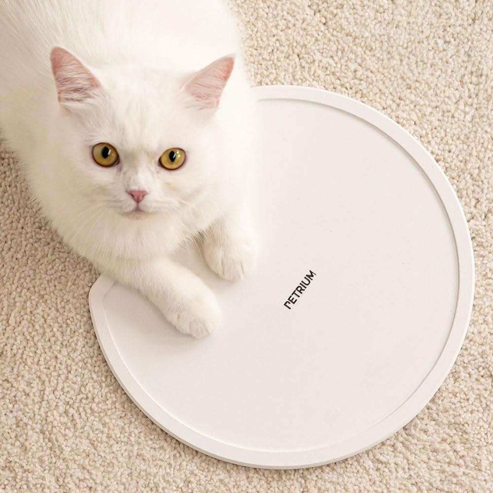 PETRIUM Stone Dry Mat under a water fountain keeps spills contained.