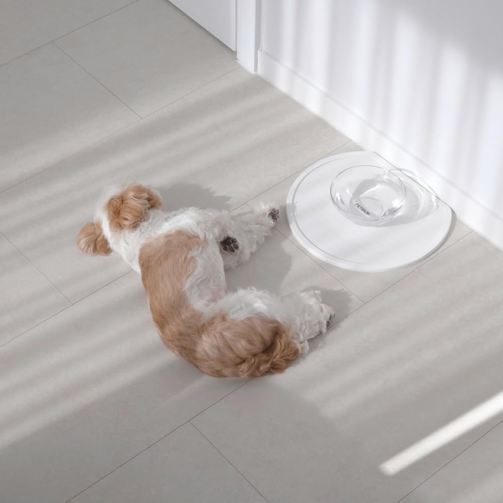 PETRIUM Stone Dry Mat beside pet bowls speeds drying and cleanup.