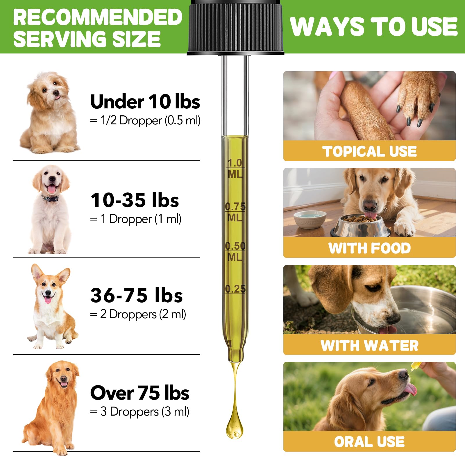 Petrivium digestive support focus illustrates holistic care for pets.