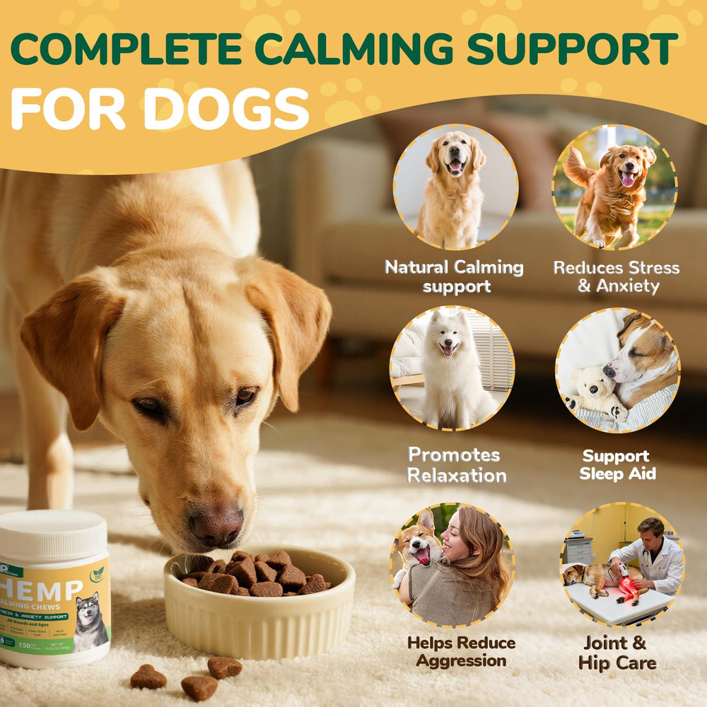 Petrivium calming chews address thunder-related stress in dogs.