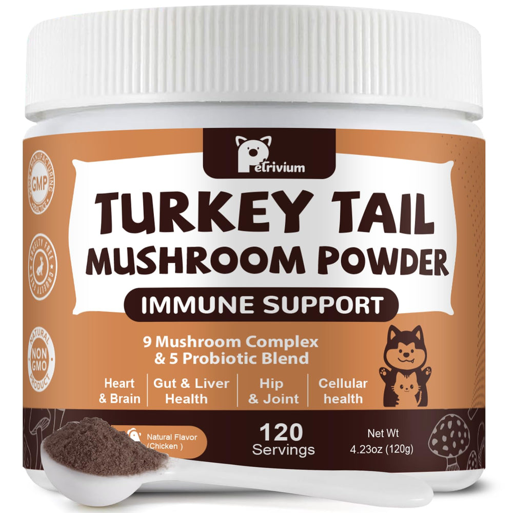 Petrivium dog-cat mushroom powder bowl boosts immune-support blend during meals.