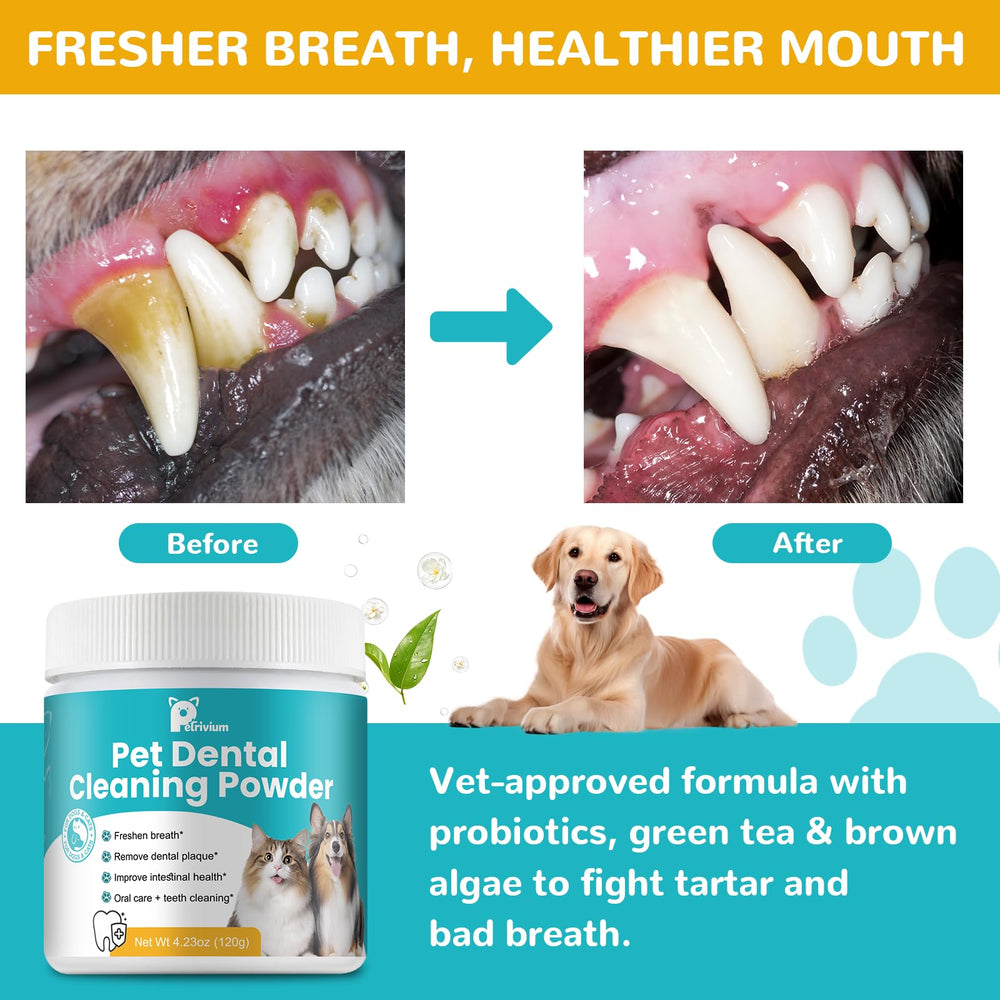 Petrivium dog dental powder green-tea visual highlights natural care and minty freshness.