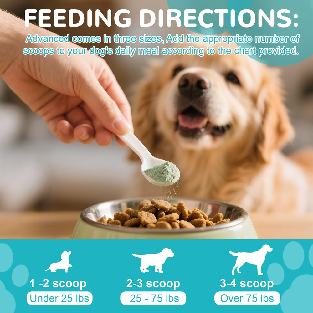 Petrivium dog dental powder being mixed into meals suggests easy at-meal use.