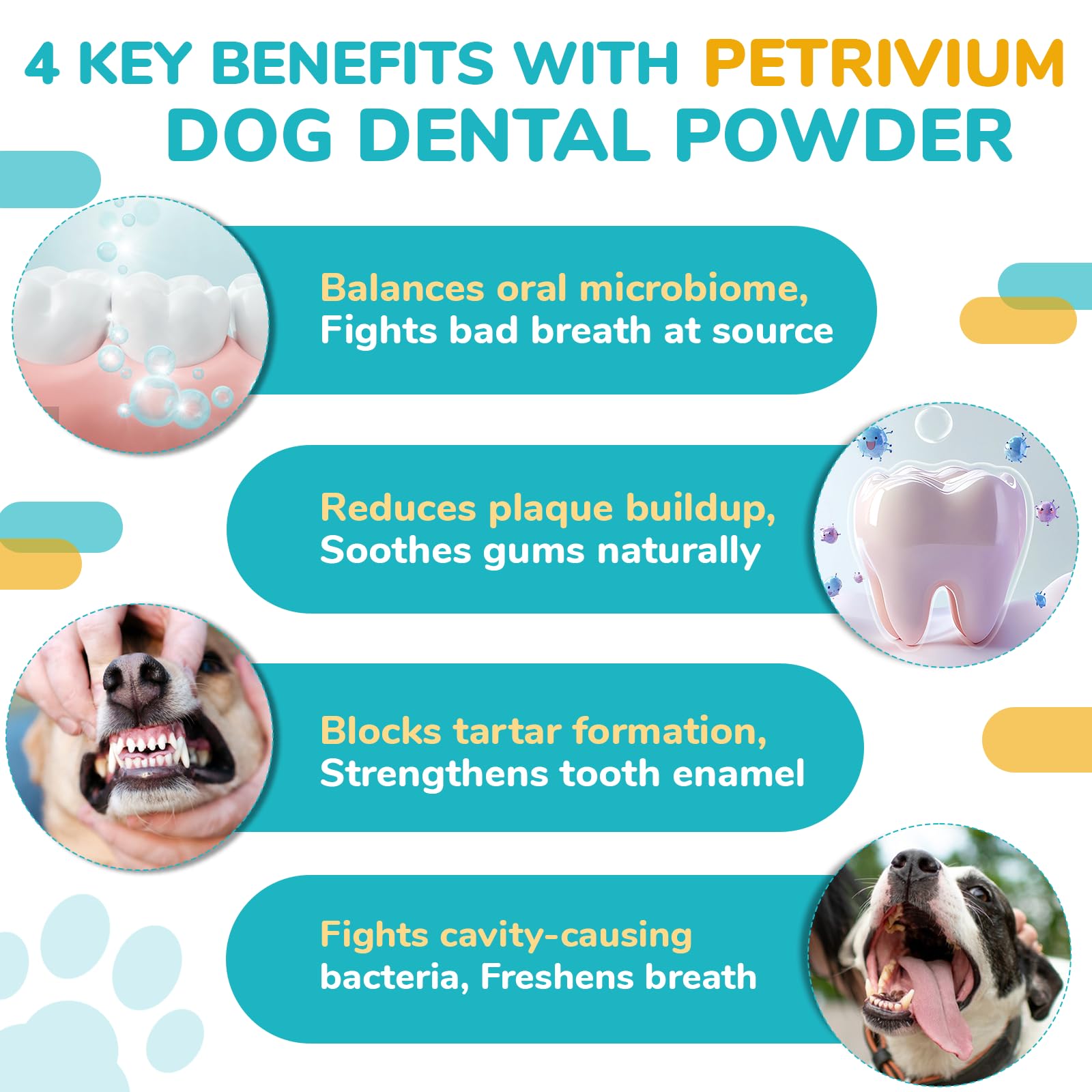 Petrivium dog dental powder plaque-tartar visual supports routine plaque control.