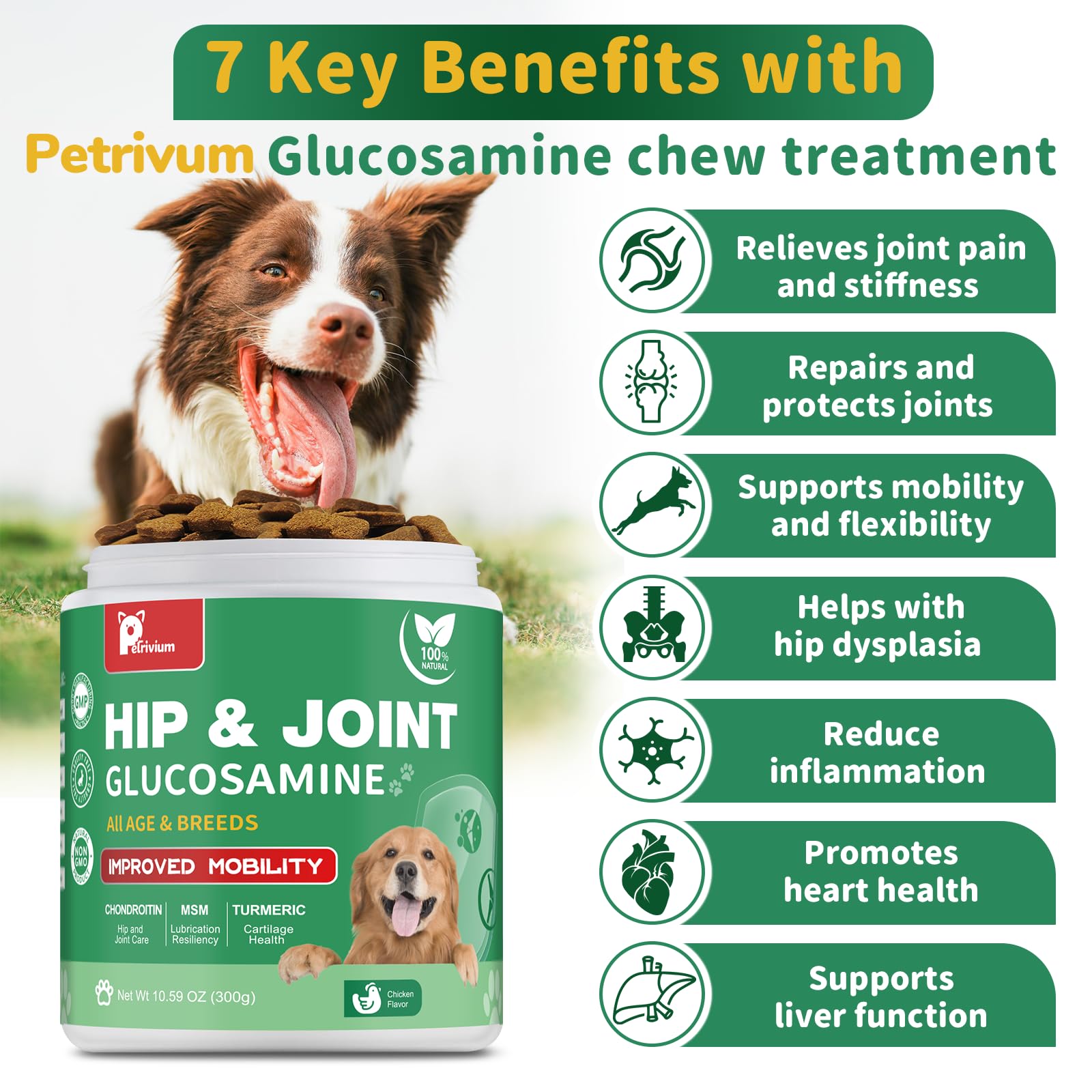 Petrivium dog hip joint chews chicken flavor close-up supports tasty daily use
