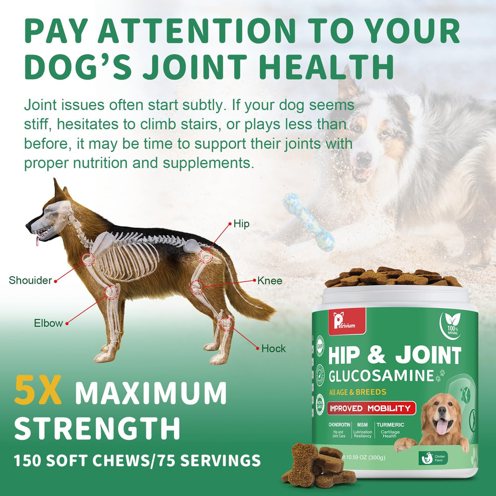 Petrivium dog hip joint chews hero shot demonstrates improved movement