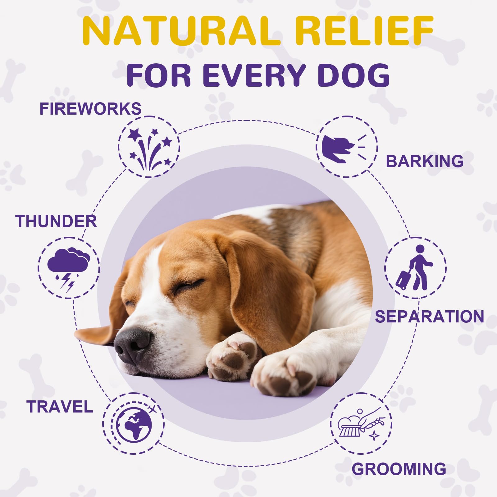 Petrivium dog melatonin chews chicken flavor soft chews for gentle calm.