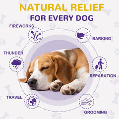 Petrivium dog melatonin chews chicken flavor soft chews for gentle calm.