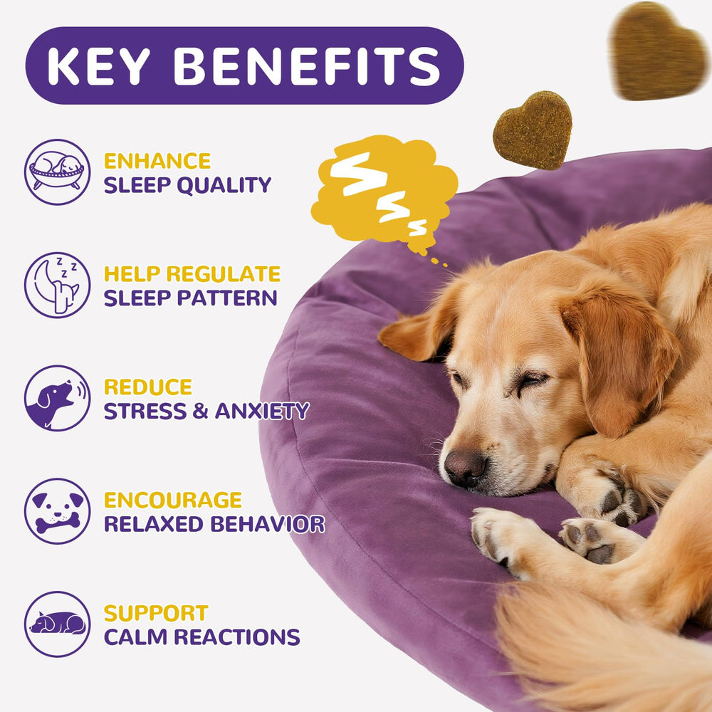 Petrivium dog melatonin chews packaging on table, implying daily anxiety relief.