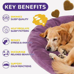 Petrivium dog melatonin chews packaging on table, implying daily anxiety relief.