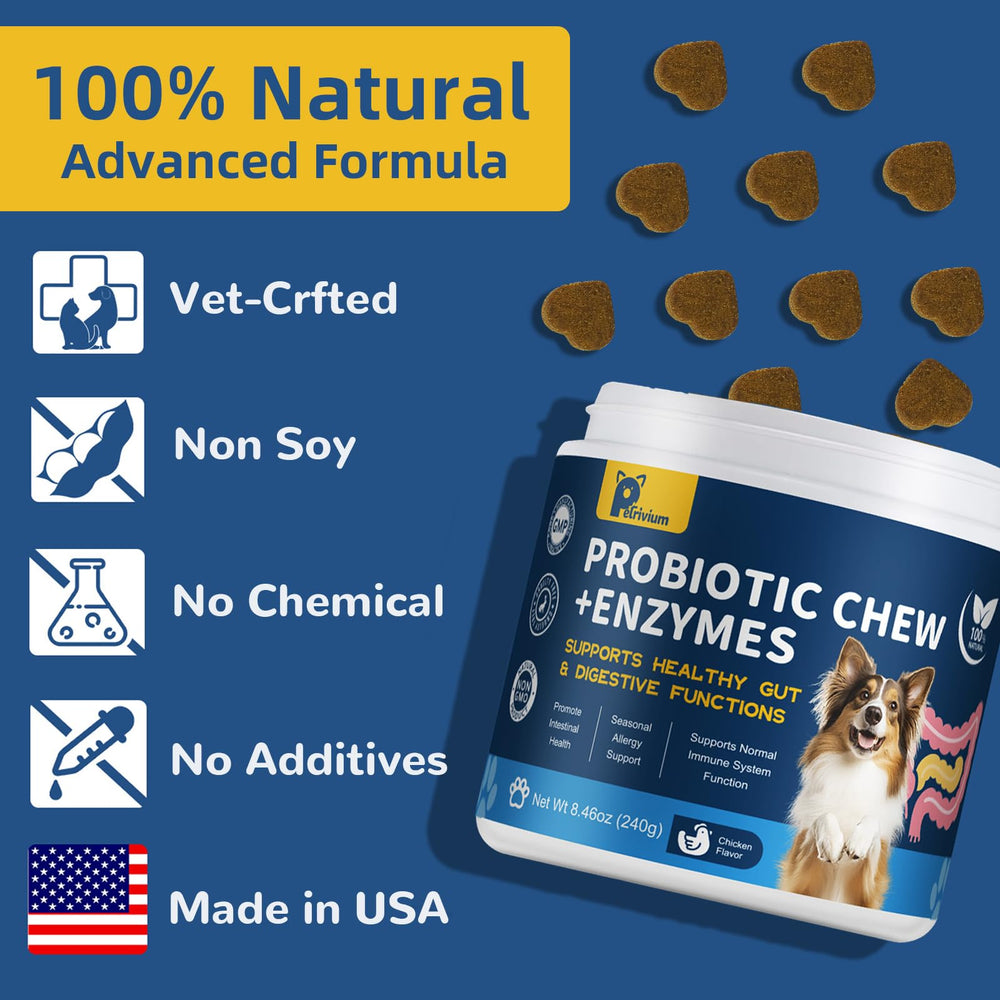Petrivium dog probiotic bottle closeup highlights 10 billion CFUs for balanced digestion.