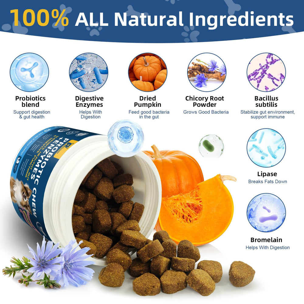 Petrivium dog probiotic fiber-enzyme blend image showcases comprehensive digestive support.