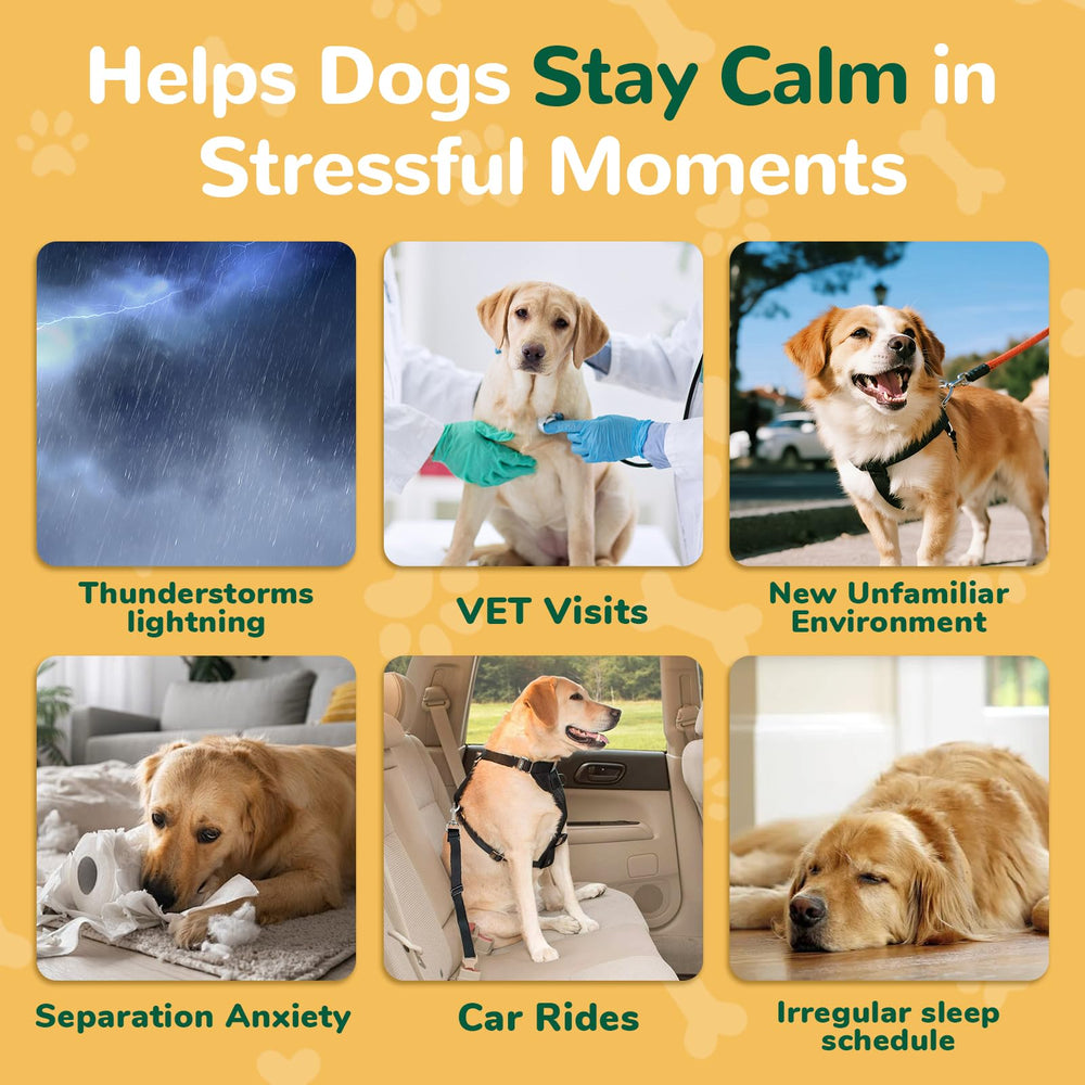 Petrivium calming chews support separation anxiety during car rides and vet visits.