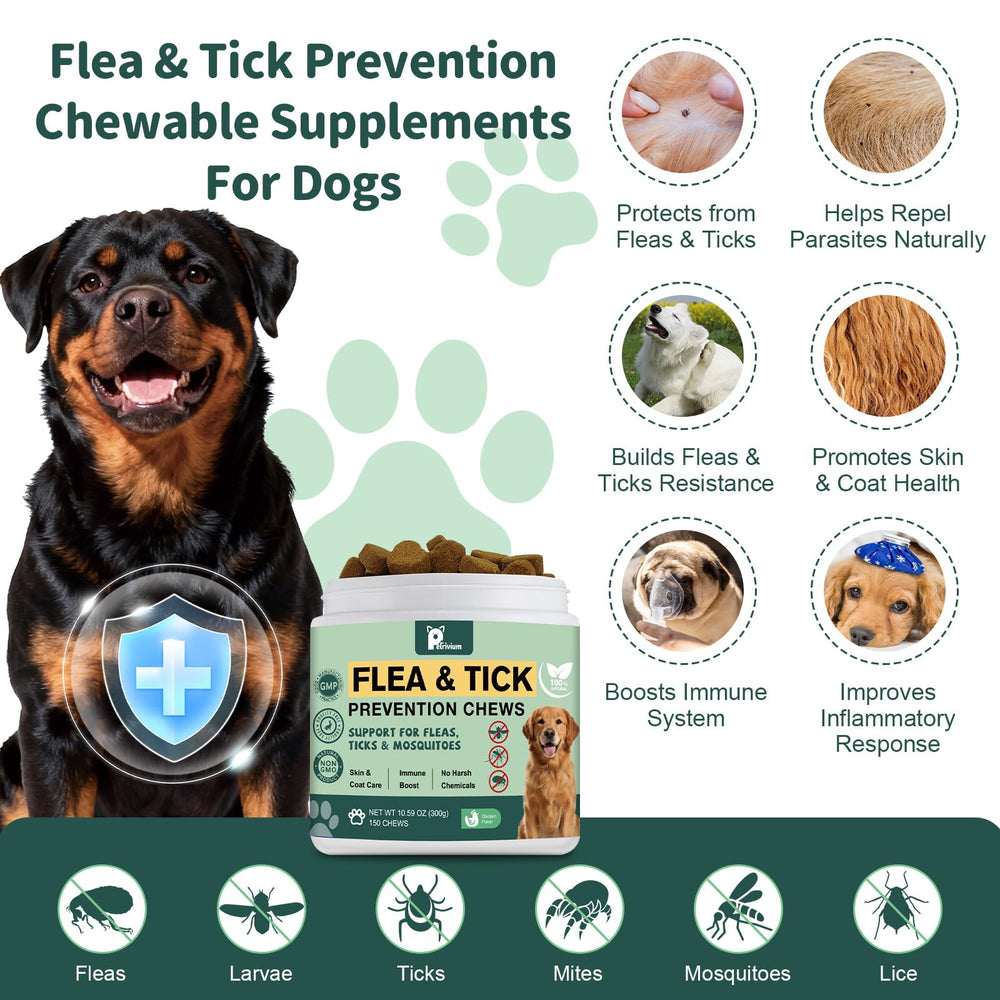 Petrivium Dogs Flea Tick Chews chicken-flavor demonstrates tasty daily intake for dogs.