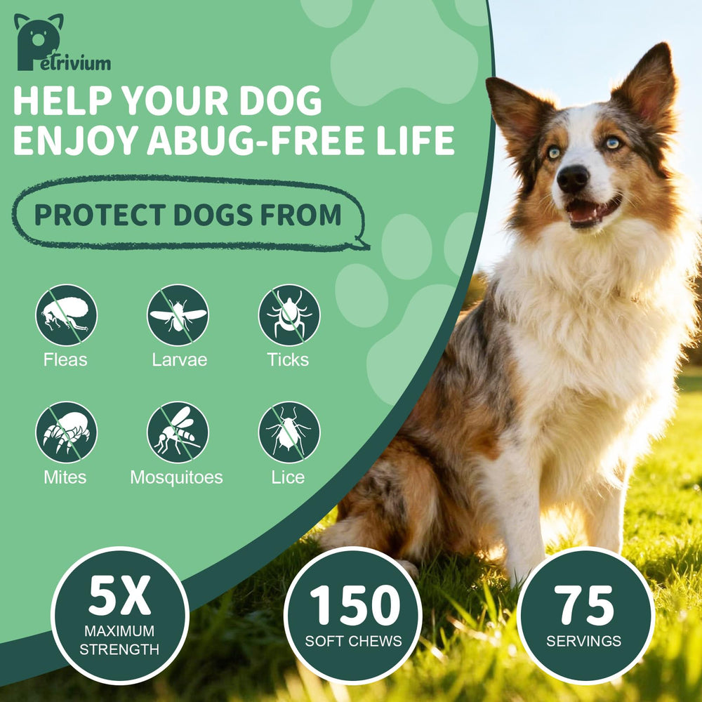 Petrivium Dogs Flea Tick Chews coat shine depiction with grooming benefits.