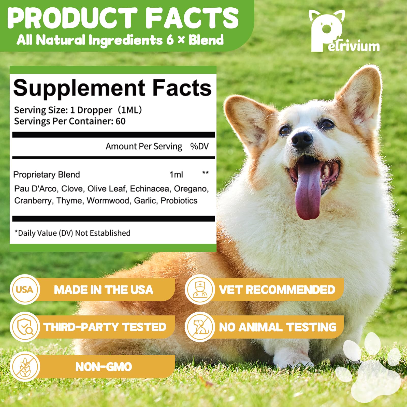 Petrivium drops pet-use scene conveys simple administration and wellbeing support.