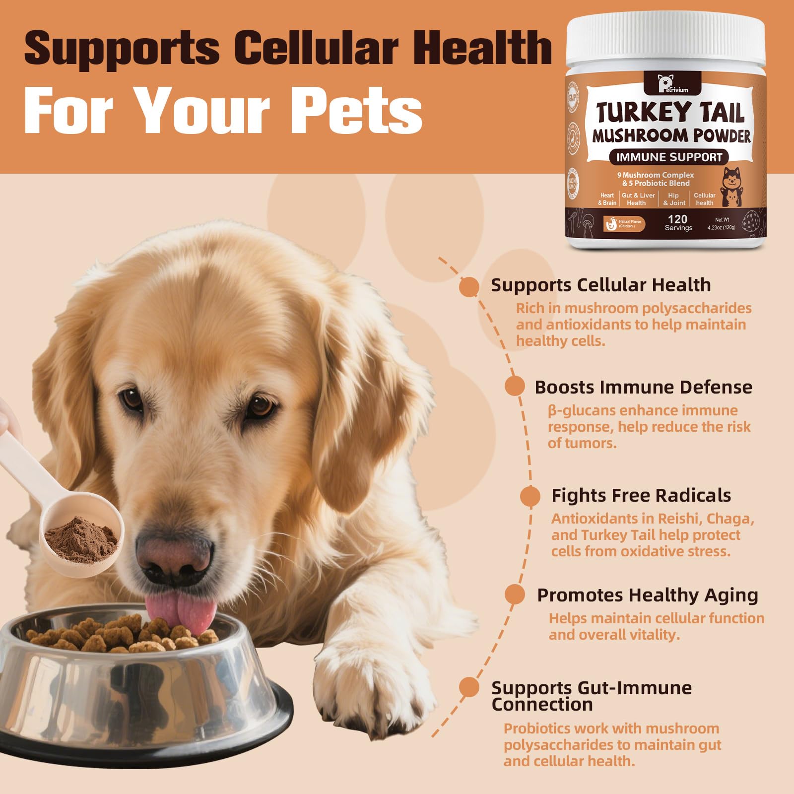 Petrivium energy-cognition support for dogs and cats during activities.