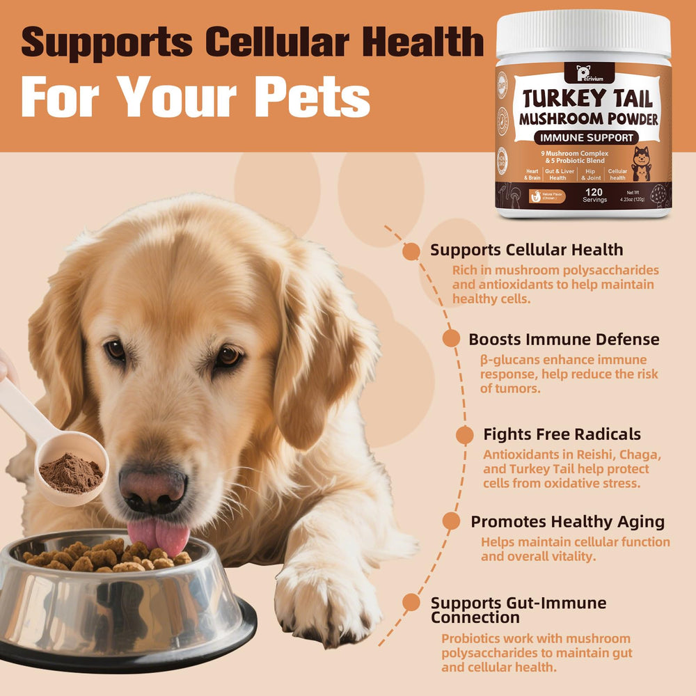 Petrivium energy-cognition support for dogs and cats during activities.