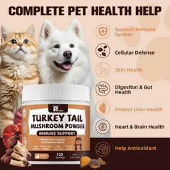Petrivium probiotics 10b CFU bottle highlights gut health and digestion support.