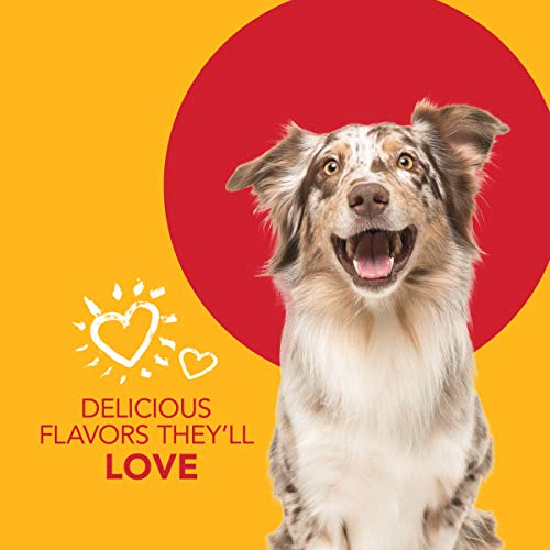 Petrodex poultry flavor toothpaste option for dogs in the kit