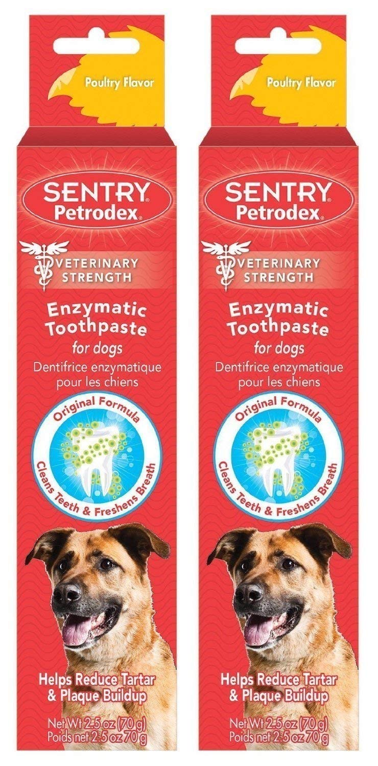 Petrodex dog toothpaste poultry 2-pack aids fresh breath and easier dental care