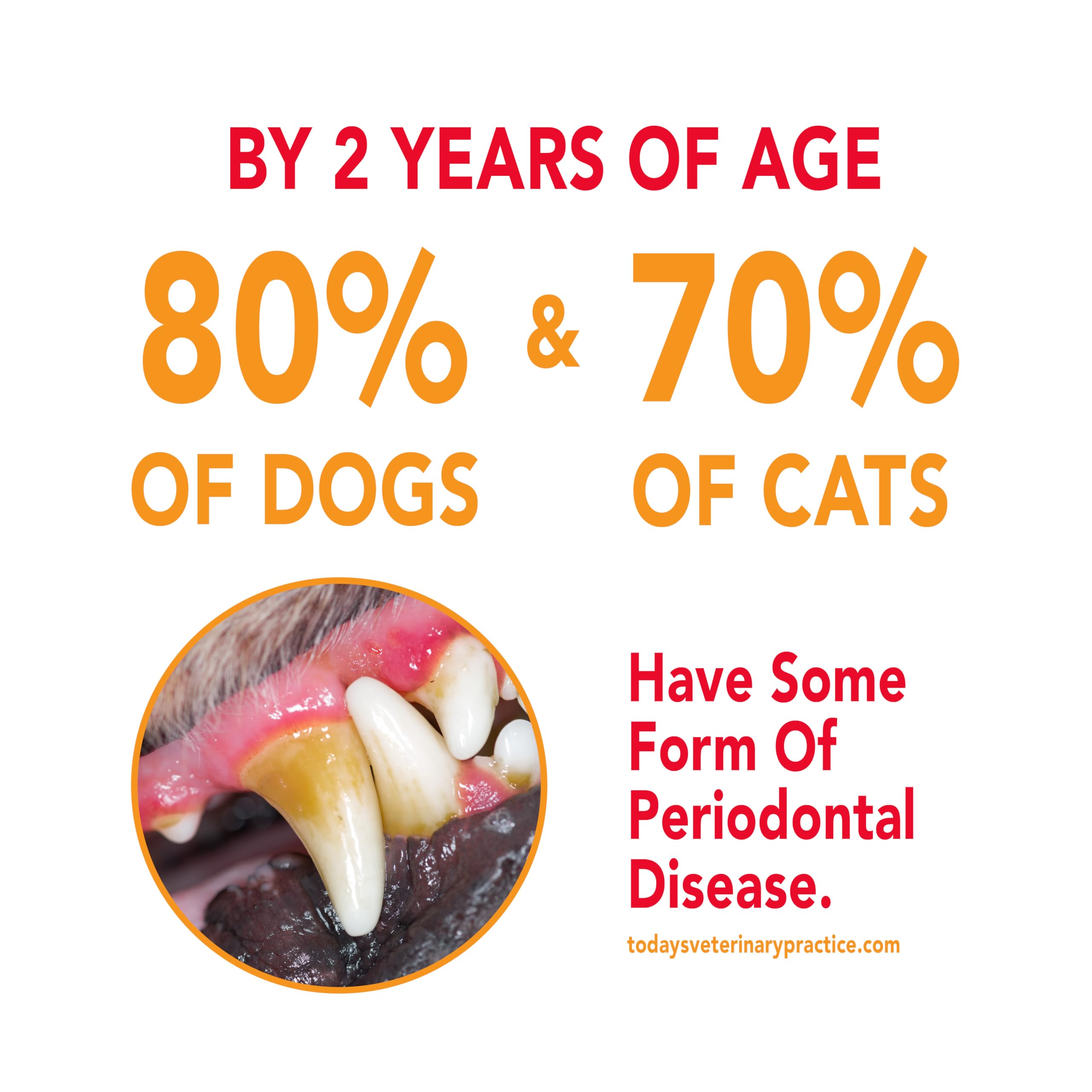 Petrodex natural ingredients graphic emphasizing safe, natural abrasives