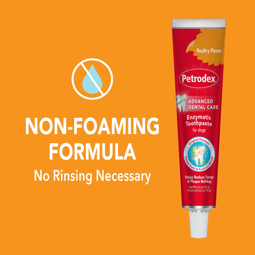 Petrodex peanut flavor close-up encouraging dog acceptance during brushing