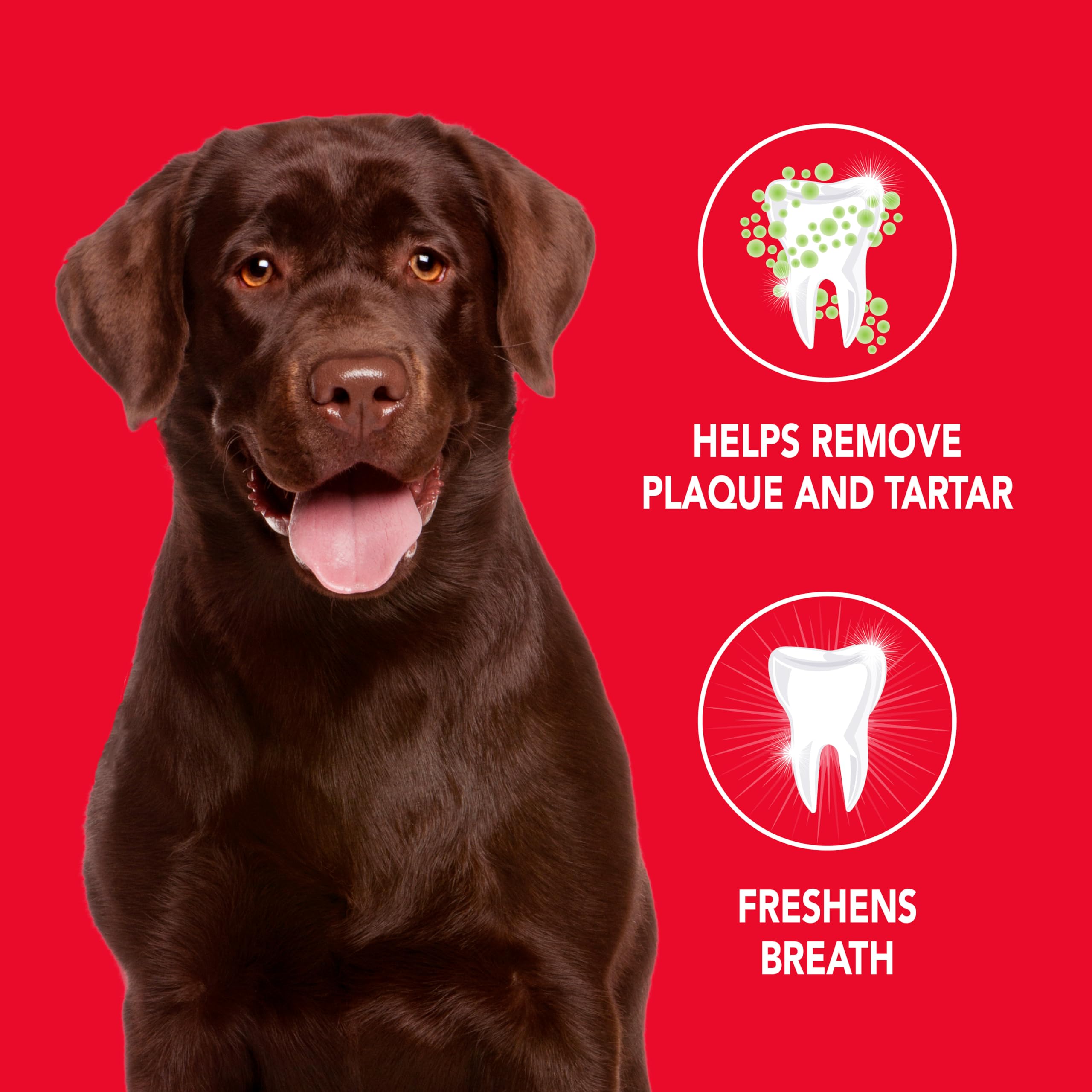 Petrodex toothpaste dog peanut label close-up highlighting natural ingredients