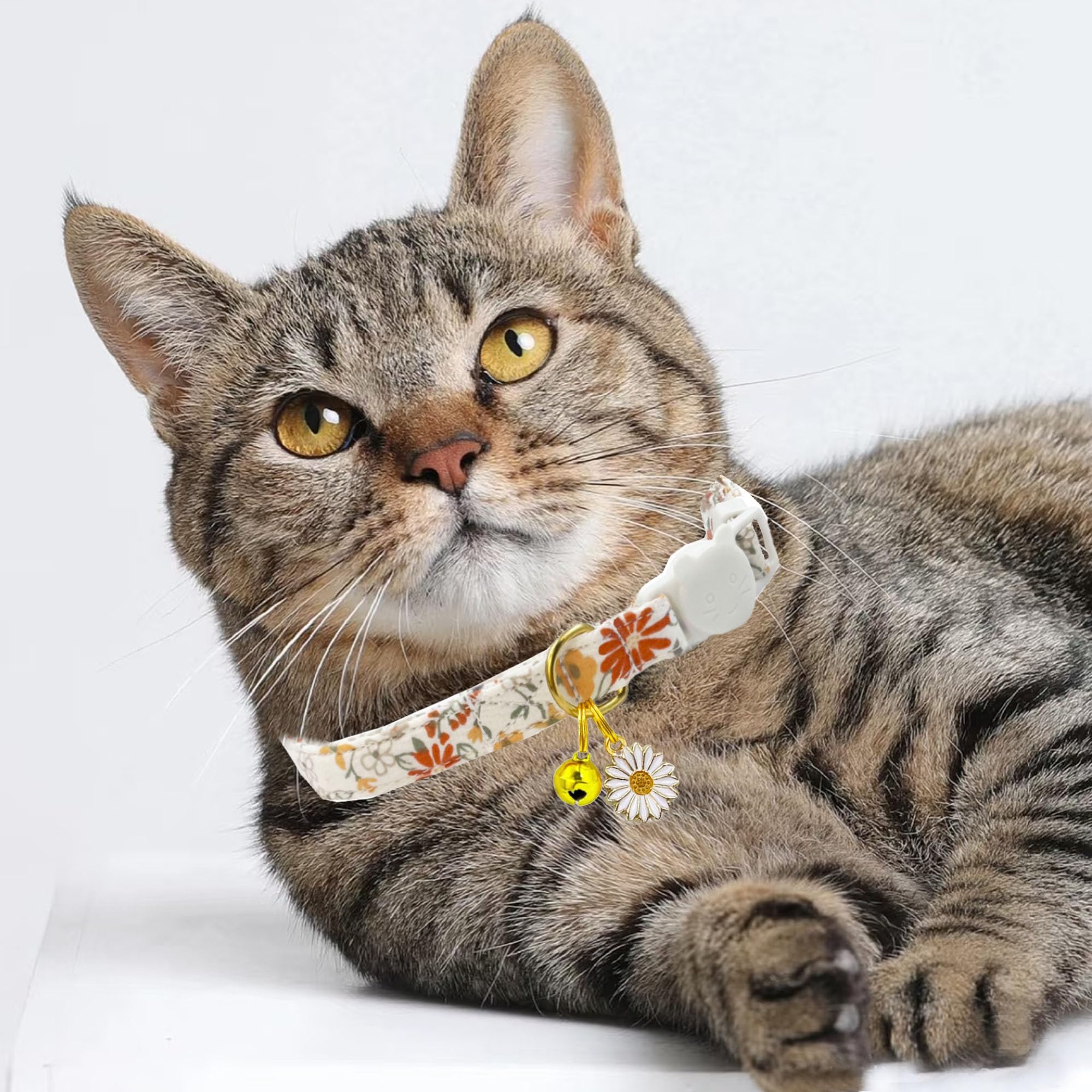 PETS ARE FUN gift-ready two-piece cat collar set for cat lovers.